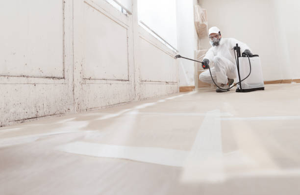 24/7 Emergency Basement Mold Remediation experts in Church Creek, MD